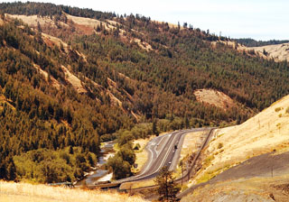Douglas-fir Tussock Moth infestation - Perry OR 1973
